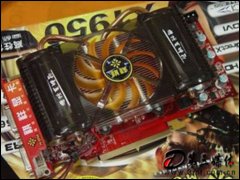 X1950GT 256M DDR3 ޵г˰Կ