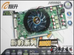 9600GSO 256M DDR3Կ