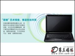 T621(Intel˫T3000/1G/250G)ʼǱ