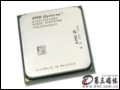 AMD 242(ɢ) CPU