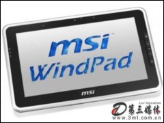 ΢WindPad 110Wƽ