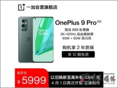 һ9 Pro 12GB+256GB ֻ